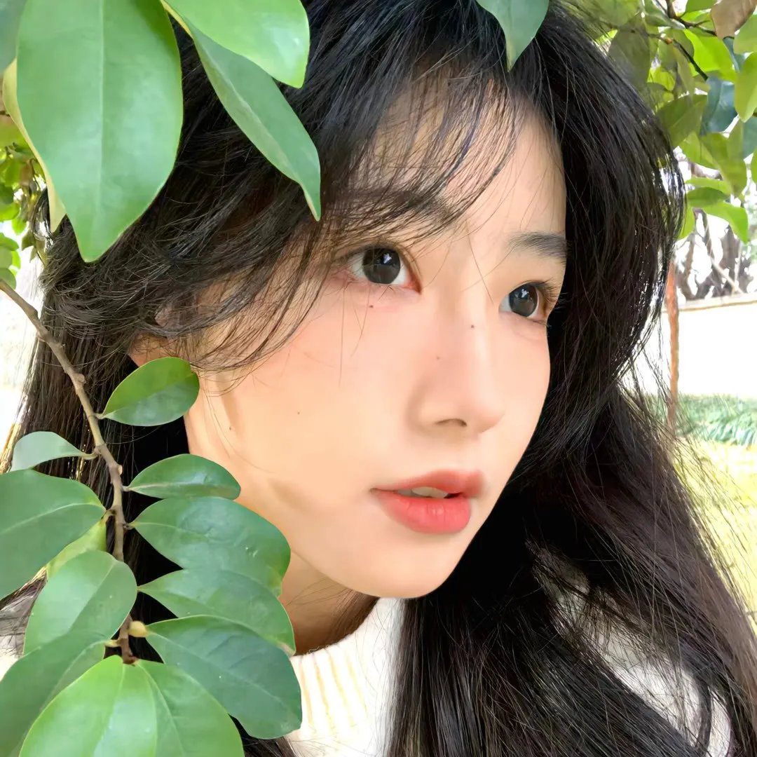 弦管动春心